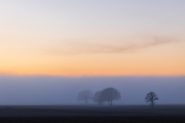 Colorful Sunset in the fog on a empty field with bald trees in early spring, Schleswig-Holstein, Northern Germany 