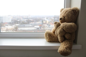 teddy bear in the window