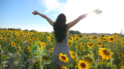Young girl standing among big field with blooming sunflowers and raising hands. Woman having relax or enjoying freedom at summer sunny day. Scenic countryside landscape at background. Dolly shot