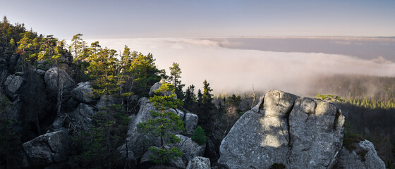 Szczeliniec Wielki, a view of the valley in the fog from the sand rocks. - obrazy, fototapety, plakaty