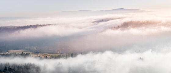Fototapeta premium The fog in the mountain valley moves through the trees.