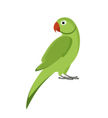 Green indian parrot