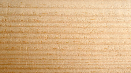 Wood texture, wood structure, background, real wood