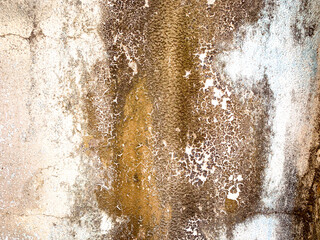 Old cement wall texture and background