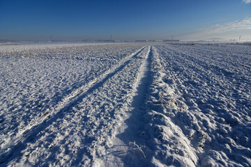 winter landscape with snow