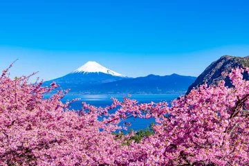 Fleecedeken met foto Kersenbloesem 静岡県沼津市井田　富士山と河津桜  © あんみつ姫