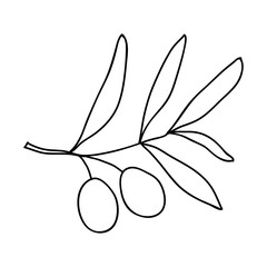 Olive branch with leaves and fruits hand drawn in outline style in doodle style. Vector illustration For t-shirt printing, web design, beauty salons, posters, logo creation.