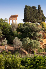 Selinunte, Castelvetrano, Trapani. Templi del Parco Archeologico di Selinunte, Cave di Cusa e Pantelleria