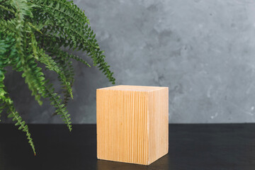 Natural mockup of moss,wood, tree bark and fern for cosmetics on black and grey background.