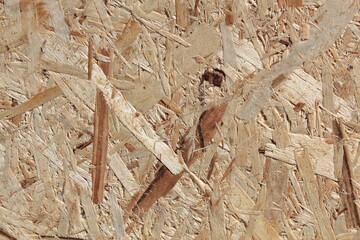 Textured grungy surface of wooden construction plate.