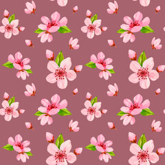 Fototapeta na wymiar Watercolor cherry flower pattern. Spring floral seamless texture for wrapping paper, textile design, greetings. Pink flower repeating background