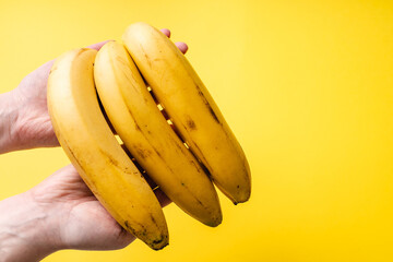 Close up on hand holding fresh ripe organic bananas in front of trendy yellow background - healthy eating fruit vegetarian or vegan concept - copy space