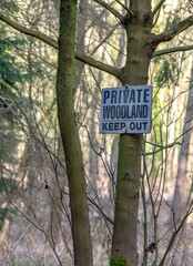 Keep out sign on a tree