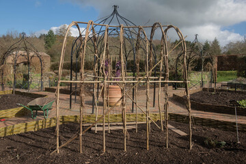 Arch or Wigwam Being Built from Hazel Sticks to Support Climbing Plants and Vegetables in a Potager...