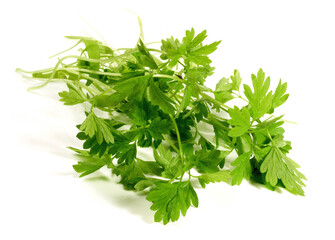 Chervil on white Background Isolated