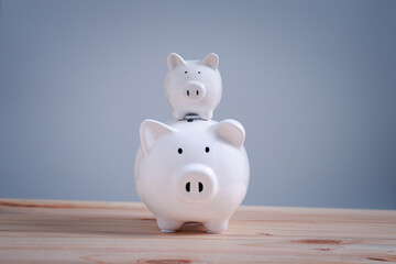 Income Management, expenses, invest, save, two white ceramic piggy bank on wood table saving and investment.