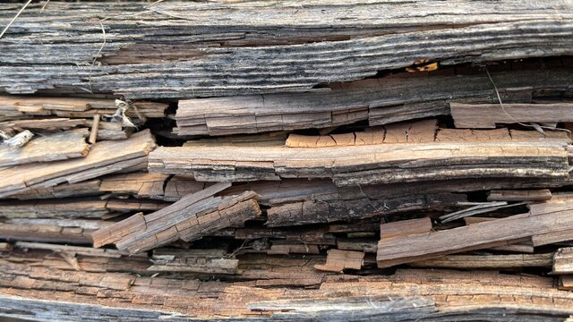 Holz Morsch