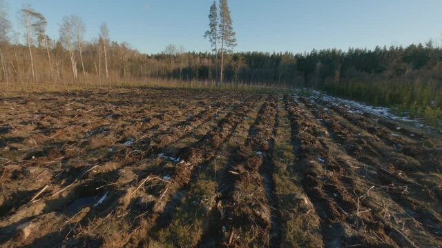 Aerial footage flying over beautiful glade and forest road on a cold sunny day, drone footage.