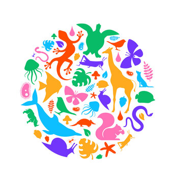 Colorful wild animal icon circle shape isolated