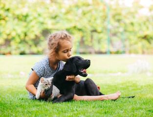 Little girl taking care of her dog and cat - 418129013