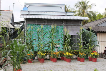 Obraz premium Countryside landscape, with beautiful flower fences in Vietnam