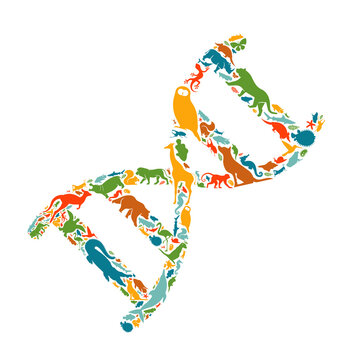 Colorful Wild Animal Icon Dna Science Concept