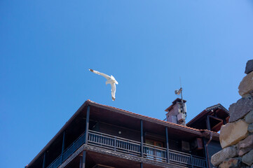 A seagull flies into the sky near a coastal wooden building