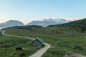 An early morning in Italian Dolomites. There is a small wooden cottage on a green meadow. In the back there are high mountain chains, bursting with sunrise colors. New day beginning. Golden hour.