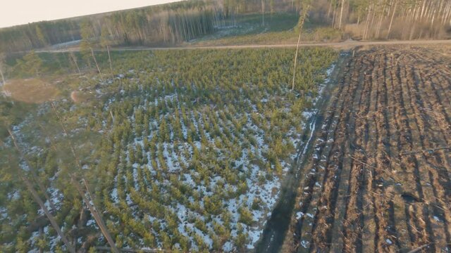 Aerial footage flying over beautiful glade and forest road on a cold sunny day, drone footage.