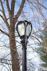 Beautiful Street Light at Central Park with Snow and Ice during Winter in New York City