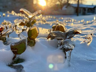 winter sunset  in the park Texas hill country Fredericksburg