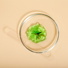 Aloe gel natural cosmetics for cosmetology. Green gel Medical herbs ingredients in laboratory glassware. Cosmetic skincare products in petri dishes on beige background. Top view square