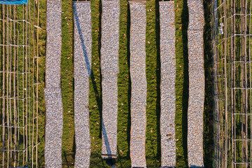 Aerial view of people working in a fishing farm drying seafood on long wooden tables along Karnaphuli river, Patiya, Chittagong province, Bangladesh.