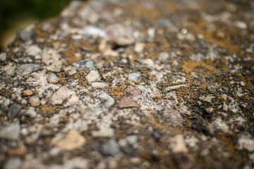 Mos textures background