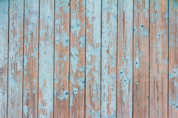 Obraz premium Old wooden background with peeling blue paint.