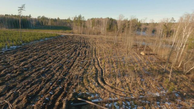 Aerial footage flying over beautiful glade and forest road on a cold sunny day, drone footage.