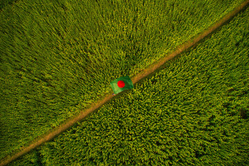 Aerial view of a green flag on a small pathway in a field along the Bengali river, Ullahpara, Rajshahi, Bangladesh.