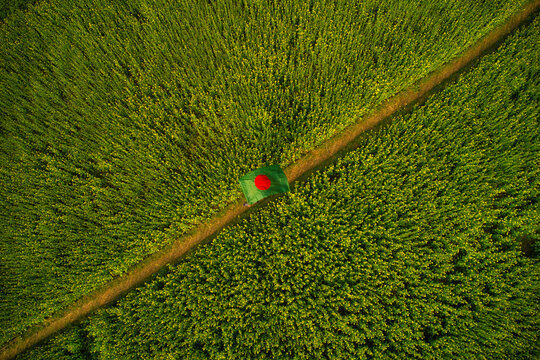 Aerial view of a green flag on a small pathway in a field along the Bengali river, Ullahpara, Rajshahi, Bangladesh.