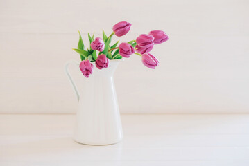 Beautiful mono bouquet of purple tulips in full bloom in white vase on white background. Copy space for text. Spring still life.