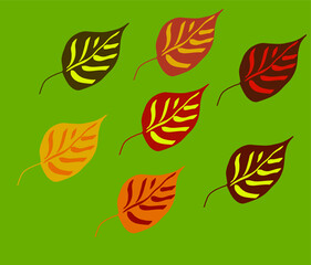 Abstract illustration of autumn leaves in several colors with light green background.