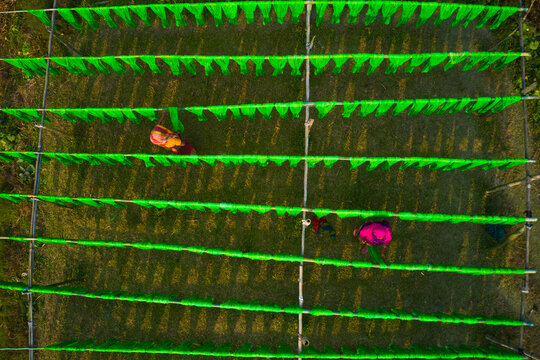 Aerial view of women working in a public laundry drying green stripe cloth in Araihazar, Dhaka province, Bangladesh.