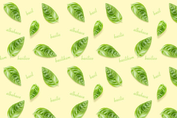 
Design pattern made with fresh and green basil leaves and text on a pastel green background