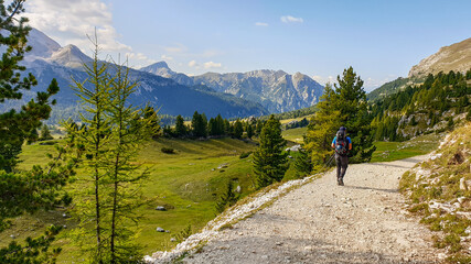 Fototapeta na wymiar A man hiking along a wide gravelled road in Italian Dolomites from the top of Strudelkopf. A panoramic view on the high mountains. Sunny day. A few clouds above the high peaks. Lush green plateau