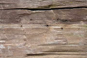 Wood texture