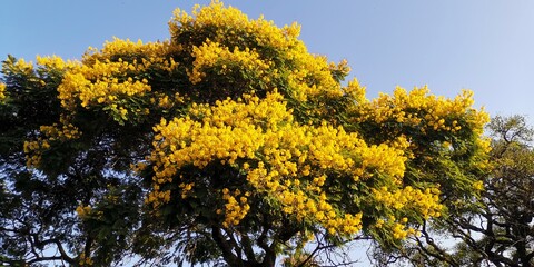Fototapeta premium Colonia del Sacramento, Colonia, Uruguay.