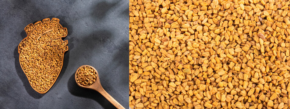 Organic fenugreek seeds in wooden bowl - Trigonella foenum - graecum