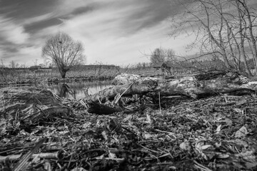 dilapidated dwelling