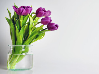 Purple tulips in a glass vase