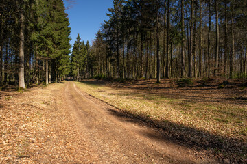 Obraz premium Via Agrippa in der Eifel