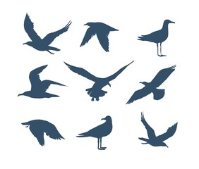 Fototapeta premium Seagulls silhouette . Hand drawn illustration converted to vector.